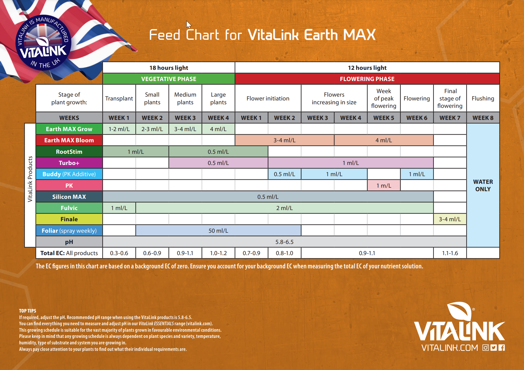 vitalink_earth